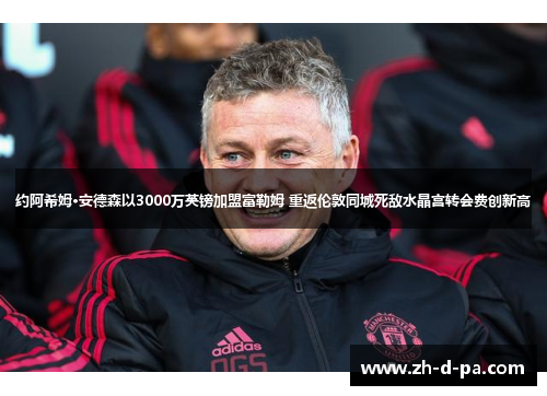 约阿希姆·安德森以3000万英镑加盟富勒姆 重返伦敦同城死敌水晶宫转会费创新高