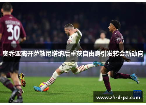 奥乔亚离开萨勒尼塔纳后重获自由身引发转会新动向